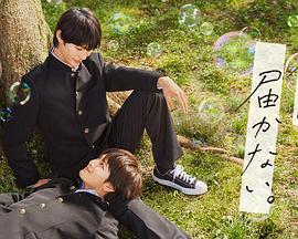 外贸型网站优化多少钱